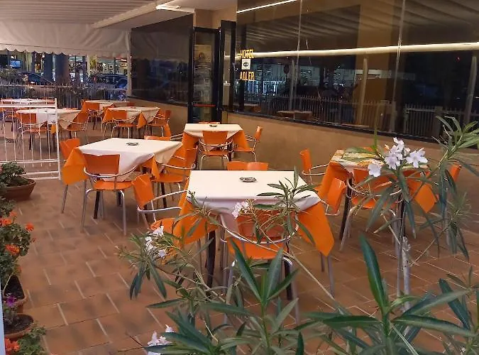 Adler 3* Римини